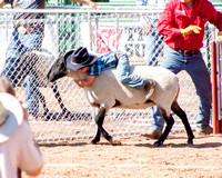Mutton Bustin - Shots by my 14 year old Michael